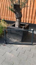 Tuinpoort met automatische sluiter met muurplaat, Tuin en Terras, Ophalen, IJzer, Minder dan 3 meter, Minder dan 1 meter