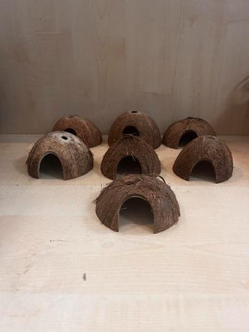 Setje kokosnoot decoratie beschikbaar voor biedingen