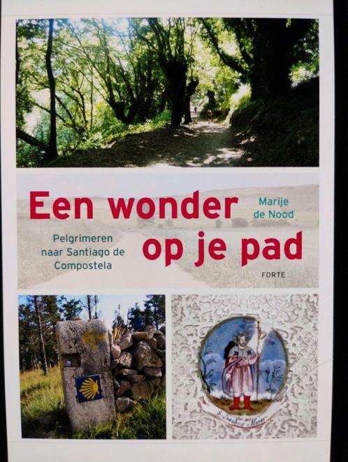 Marije de Nood - Een wonder op je pad, Boeken, Esoterie en Spiritualiteit, Gelezen, Achtergrond en Informatie, Astrologie, Ophalen of Verzenden