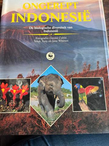 Ongerept Indonesië - Biologische Diversiteit beschikbaar voor biedingen