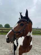 Rambo micklem competition hoofdstel maat full, Dieren en Toebehoren, Paarden en Pony's | Hoofdstellen en Tuigage, Ophalen of Verzenden