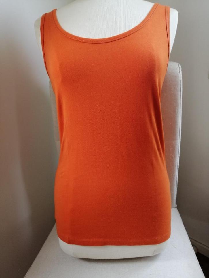 Van Hassels top terra brique oranje maat M - nieuw -, Kleding | Dames, Tops, Nieuw, Maat 38/40 (M), Oranje, Zonder mouw, Ophalen of Verzenden