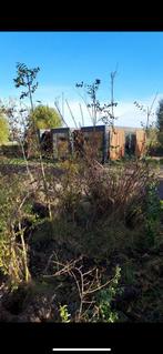 Gratis boompjes (wat wilgjes) en wat struiken (onbekend), Overige soorten, 100 tot 250 cm, Zomer, Ophalen