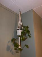 Hangplant met macramé hangpot, Ophalen, 50 tot 75 cm, Boho, Zo goed als nieuw