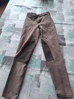 Paardrijbroek, Ophalen of Verzenden, Gebruikt, Dressuur, Onderkleding