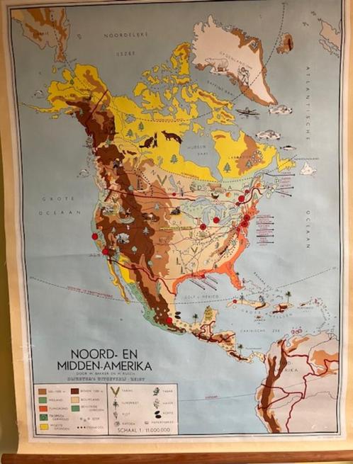Noord-en Midden-Amerika Grondstoffen kaart, Antiek en Kunst, Antiek | Schoolplaten, Natuur en Biologie, Ophalen of Verzenden