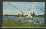 Friesland Zeilsport Zeilen Foto/Ansichtkaart f-96 jdu, Ophalen of Verzenden, 1940 tot 1960, Gelopen, Friesland