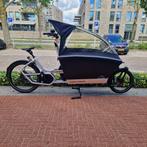 Urban Arrow Family Cargo Line Anniversary – Demo, Fietsen en Brommers, 4 kinderen of meer, Urban arrow, Info@stylecycles.nl, Urban arrow