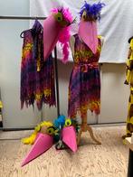 2 x vogel kostuums, Ophalen of Verzenden, Zo goed als nieuw, Carnaval