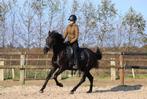 Lieve 3 jarige merrie te koop!, Dieren en Toebehoren, Paarden, Minder dan 160 cm, Dressuurpaard, Zadelmak, 3 tot 6 jaar