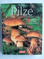 Paddestoelen,  Pilze door Martin Knoop, Ophalen of Verzenden, Zo goed als nieuw, Vogels