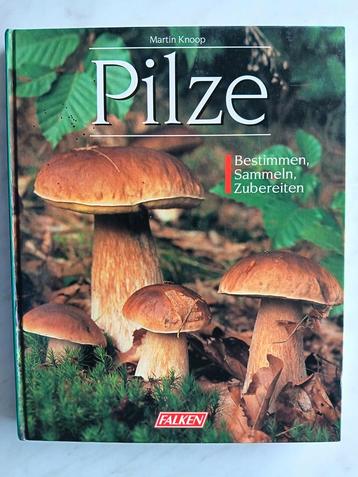 Paddestoelen,  Pilze door Martin Knoop beschikbaar voor biedingen