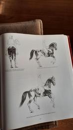 Anatomie, Antiek en Kunst, Ophalen of Verzenden