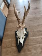 Horens op plankje, Verzamelen, Ophalen of Verzenden, Beeldje of Figuurtje