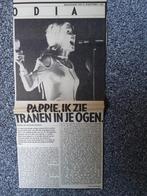 Blondie: Concert Nijmegen 1978, Ophalen of Verzenden, Gebruikt, Boek, Tijdschrift of Artikel