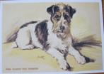 illustratie van Lucy Dawson - Mac - wire haired fox terrier, Verzenden, 1980 tot heden, Ongelopen, Hond of Kat