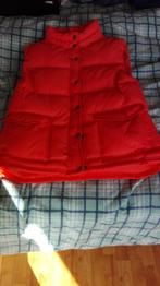 2 bodywarmers maat large blauw en roze 7,50 per stuk, Verzenden, Zo goed als nieuw, Maat 42/44 (L), Blauw
