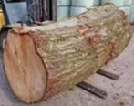 Gezocht Stam lengte +- 120 a 130 cm doorsnee 50 tot 60 cm, Doe-het-zelf en Verbouw, Hout en Planken, Ophalen of Verzenden, Overige houtsoorten
