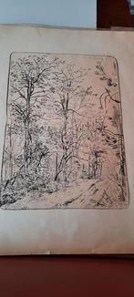 Ets bosgezicht,gesigneerd  Reneé.de Lannoy,1907-1985,België., Antiek en Kunst, Ophalen of Verzenden