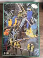 Mooie puzzel papegaaien 1000 stukjes, 500 t/m 1500 stukjes, Legpuzzel, Zo goed als nieuw, Ophalen