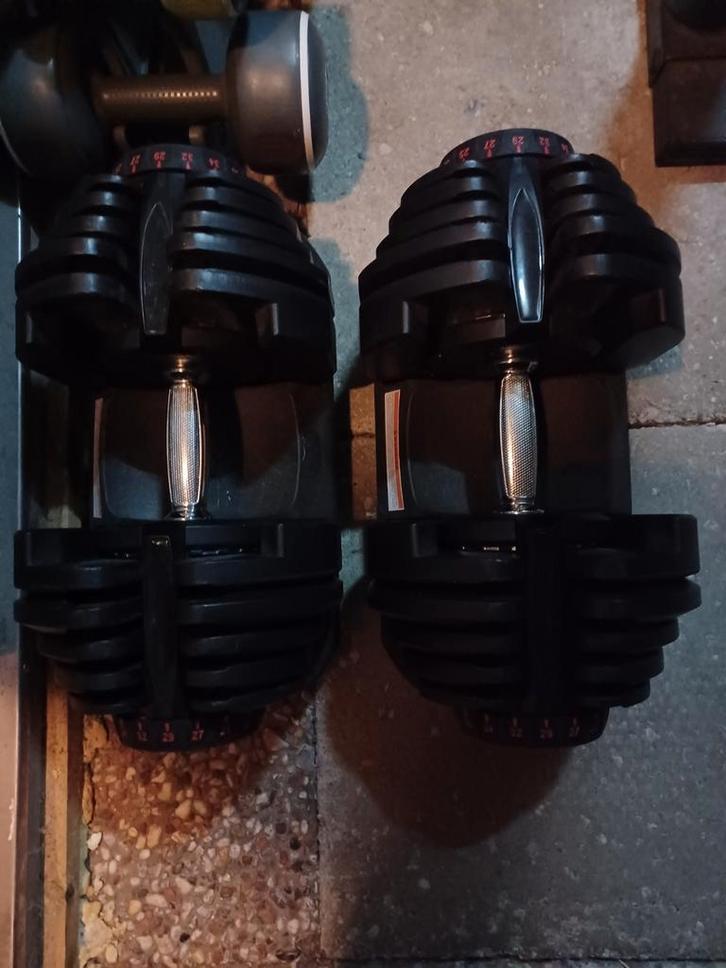 2 stuks verstelbare dumbells 40kg te koop, Sport en Fitness, Fitnessmaterialen, Dumbbell, Ophalen