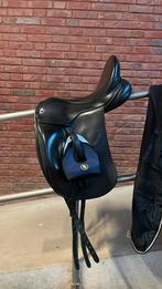 Brandon Victoria, Ophalen, Dressuur