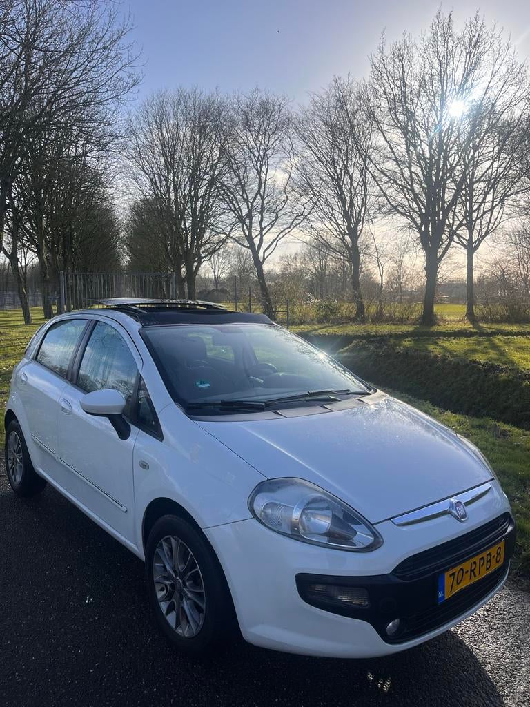 Fiat Punto 1.4 5DR/Pano/luxe edition, Auto's, Voorwielaandrijving, 40 €/maand, 4 cilinders, 400 kg