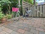 gazelle saphir goldline, Gebruikt, Versnellingen, Gazelle fiets, 56 cm of meer