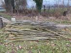 Wilgen snoeihout (gratis), Ophalen, Gebruikt, 250 cm of meer, Palen