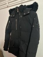 Moose Knuckle Winterjas - Stijlvol en Warm, Ophalen, Zwart, Moose knuckles, Gedragen