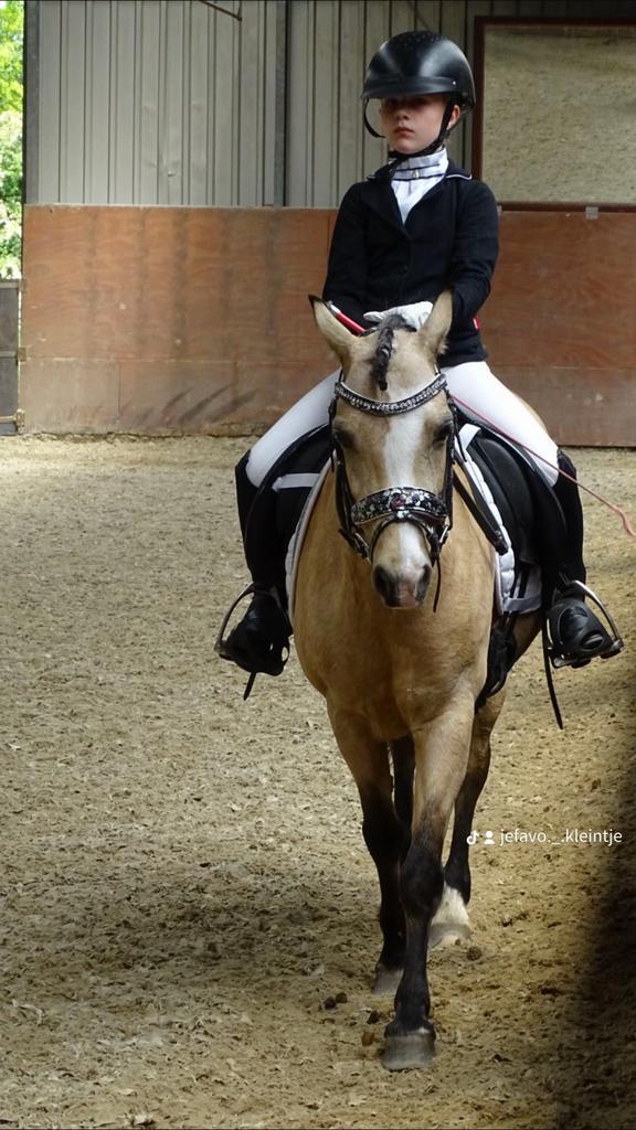 Verzorg pony gezocht verzorger aangeboden!, Dieren en Toebehoren, Paarden en Pony's | Verzorgingsproducten, Nieuw, Ophalen of Verzenden