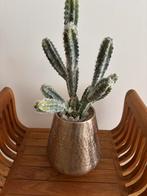 Cactus kunst plant, Ophalen, Zo goed als nieuw