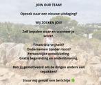 Collega's gezocht, Variabele uren, Overige vormen