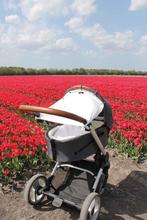 Dooky Universal Cover Zonnescherm Kinderwagen, Ophalen of Verzenden, Gebruikt, Kinderwagen, Overige merken