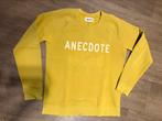 Sweater maat M van Anecdote, Kleding | Dames, Ophalen of Verzenden, Gedragen