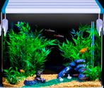 Seven master professional aquarium lamp, Dieren en Toebehoren, Vissen | Aquariumvissen, Vis