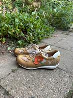 Schoenen Vierdaagse speciale editie, Ophalen of Verzenden, Gebruikt, Schoenen