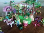 Playmobil feeën, Kinderen en Baby's, Speelgoed | Playmobil, Ophalen of Verzenden