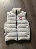Bodywarmer maat M, Kleding | Heren, Bodywarmers, Ophalen of Verzenden, Zo goed als nieuw, Zwart