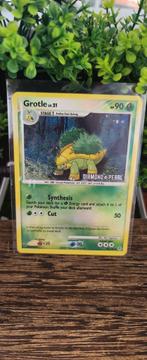 Grotle Lv 21 DP 49, Ophalen of Verzenden, Zo goed als nieuw, Losse kaart