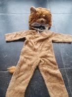 Leeuwen pak met muts maat 98, Ophalen of Verzenden, 104 of kleiner, Meisje