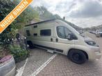 Roller Team Livingstone Advance 640 DUO, Overige merken, Bus-model, Bedrijf, Diesel