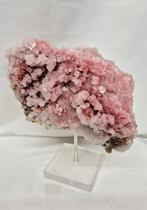 Roze Haliet, Verzenden