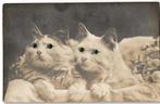Cor-346 Fantasie kaart  Poes  Met Oogjes. Met P 1926, Verzamelen, Ansichtkaarten | Themakaarten, Verzenden, 1920 tot 1940, Gelopen