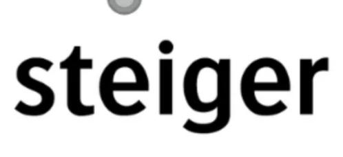 opbouw rolsteiger, Doe-het-zelf en Verbouw, Steigers, Gebruikt, Rolsteiger of Kamersteiger, 5 meter of hoger, Ophalen
