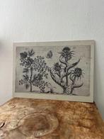 Aalbes & Mariadistel Kunstkaart - Crispijn van de Passe, Ophalen of Verzenden