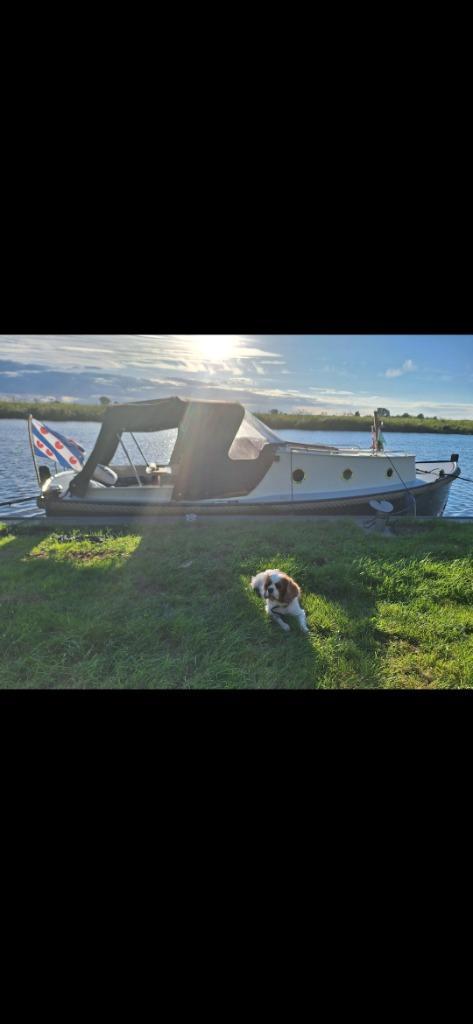Tolamar 700 cabinsloep, Watersport en Boten, Motorboten en Motorjachten, Zo goed als nieuw, Staal, 6 tot 9 meter, Diesel, Binnenboordmotor