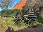 Prachtige menwagen J v/dWal enkel- dubbelspan, Dieren en Toebehoren, Rijtuigen en Koetsen, Zo goed als nieuw, Overige typen, Paard