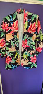 Blazer, Maat 38/40 (M), Pescara, Ophalen of Verzenden, Zo goed als nieuw