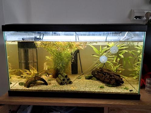 Leeg 60 liter aquarium, Dieren en Toebehoren, Vissen | Aquaria en Toebehoren, Zo goed als nieuw, Gevuld zoetwateraquarium, Ophalen